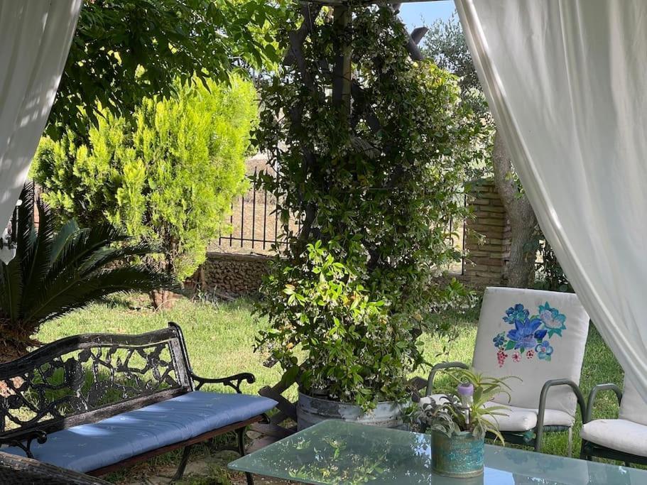 Agios Ilias  Mama'S Sunshine Garden Villa מראה חיצוני תמונה