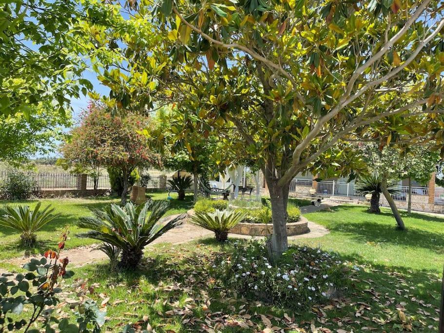 Agios Ilias  Mama'S Sunshine Garden Villa מראה חיצוני תמונה