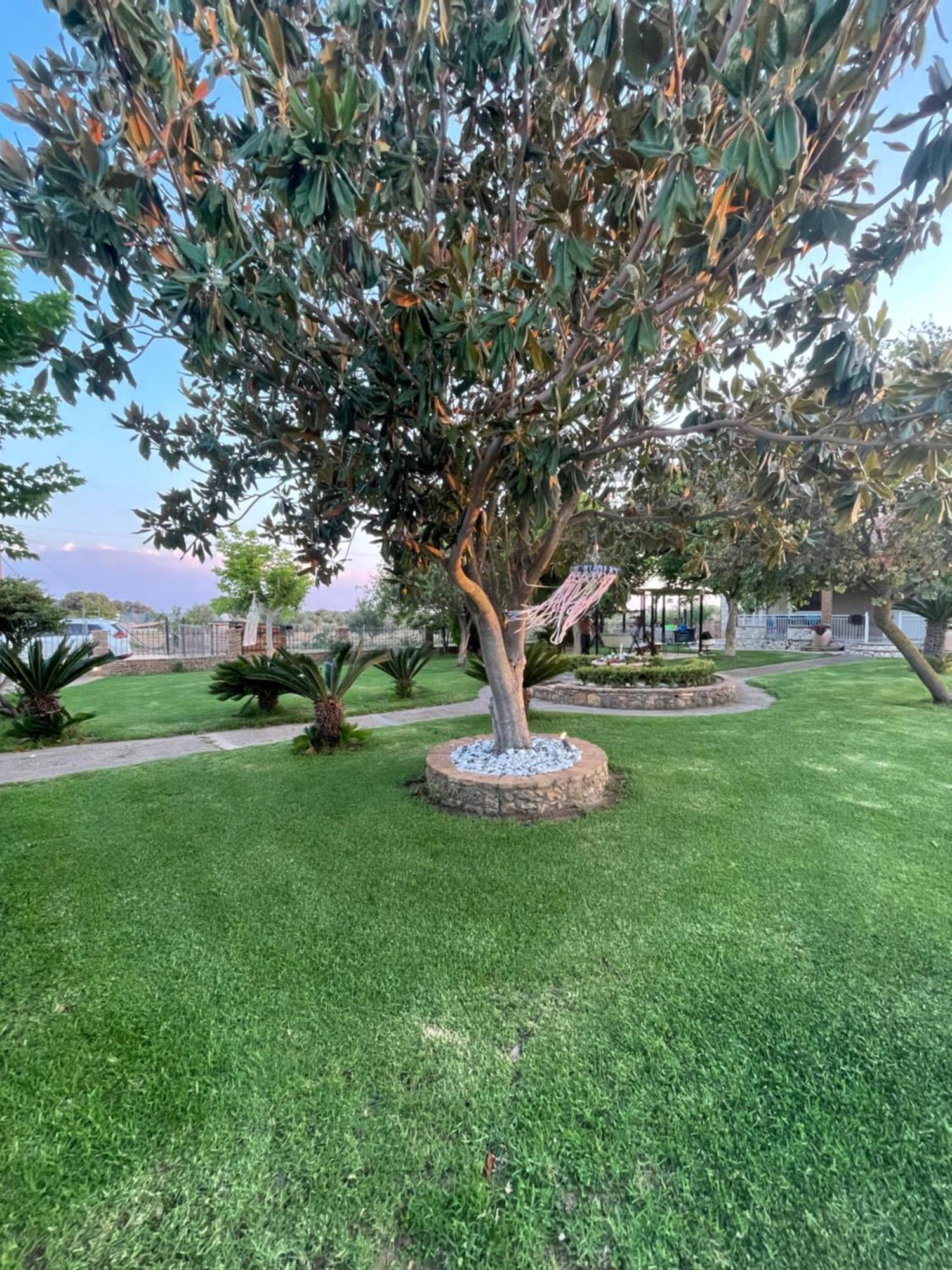 Agios Ilias  Mama'S Sunshine Garden Villa מראה חיצוני תמונה